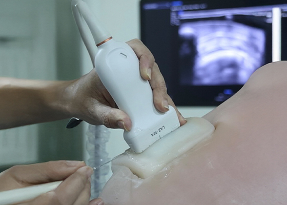 MSK Injection Manual Included